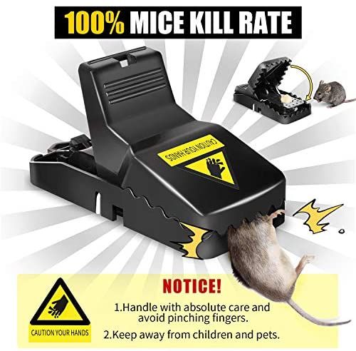 Mouse%20Trap%20High%20Quality%20Plastic%20%7C%20Rat%20Catcher%20Reusable%20Washable%20Easy%20Effective%20%7C%20Strong%20Springs%20Rat%20Killer%20For%20Households%20Art%20#%20M247%20-%20RTP0150-GIB-1Pc-0001%20-%20Image%206