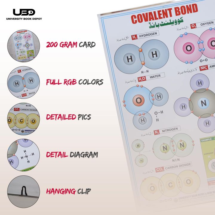 Covalent%20Bond%20Presentation%20on%20Wall%20Charts%20%7C%20Chemistry%20Wall%20Chart%20for%20School%20and%20College%20Decoration%20on%20200%20grams%20Laminated%20Card%2023*36%20-%20Image%203