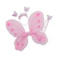 Fairy Wings Set - Pink. 