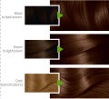 Garnier Color Naturals - 4.3 Golden Brown Hair Color. 