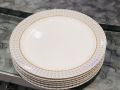 Plates - Curry/Broth/Soup Plates - 11 Inch Extra Large Size Dinner Plates Melamine - High Quality Double Glazed (Set of 6). 