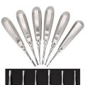 Premium Quality Dental Luxation Elevators Set of 6 Straight Curved Extraction Tools. 