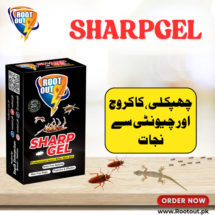 Pakistan's%20No#1,%20Cockroach%20killer%20gel%20-%20Buy%202%20Get%201%20free,%20Sharp%20Gel%20-%20100%25%20Proven%20Results%20-%2030gm%20-%20Insect%20Killer%20-%20Insect%20Gel%20-%20Insects%20eliminate%20Paste%20Pest%20Control%20-By%20Rootout%20-%20Image%208
