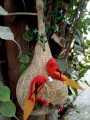 Customized Handmade Artificial beautiful Bird nest, with Bird Egg Decorative Nest, excellent Decor Hanging Nesting Hand Woven Natural Humming Bird Nest Hut for Window Home Garden Tree Outdoor Event and Decoration. 