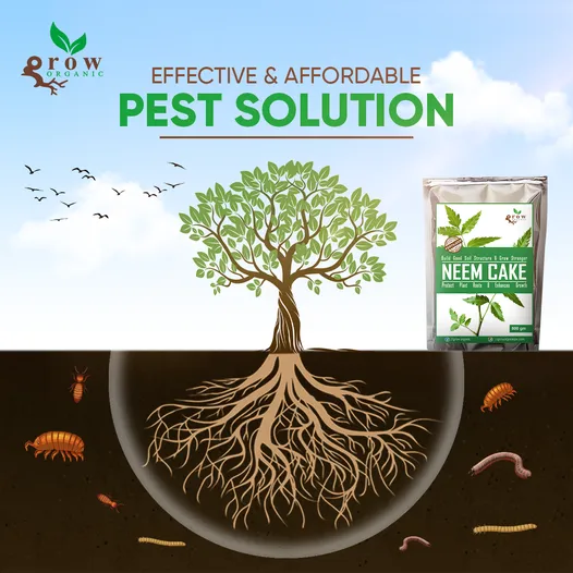 Neem%20Cake%20Powder%205%20kg%20Excellent%20organic%20fertilizer%20and%20pest%20repellent%20-%20Image%204