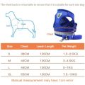 Dog Chester + Leash ( Small , XL ). 