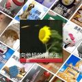 108 Contemporary Young People Crazy Emoji Stickers Mental State Laptop Mobile Phone Water Cup Stickers. 