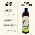 WB by Hemani -  Blend Of 7 Herbs Shampoo 350ml. 