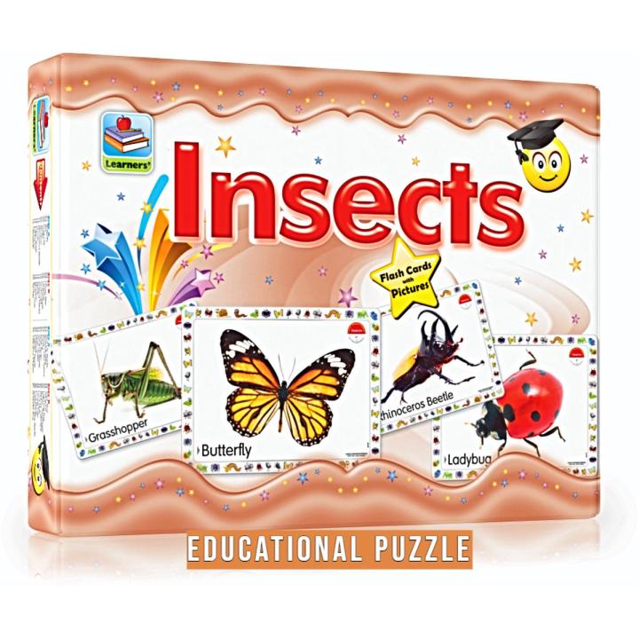 Large Flash Card With Picture of Insects Educational Puzzle 20 Cards in 1 Box Size 7 x 9.5 Inch