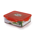 Appollo Eco Lock Food Keeper (S). 