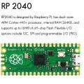 2X for Raspberry Pi a Low-Cost,High-Performance Microcontroller Board. 