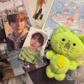 Kpop Idol NCT WISH Yushi Plush Keyring Green Cat Doll Stuffed Toys. 