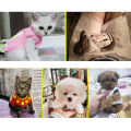 Xxxs Dog Clothes For A Dwarf Pet Rabbits Fashionable Chihuahua Puppy Clothing Winter Warm Cute Small Sphinx Cat Clothes Ferret. 