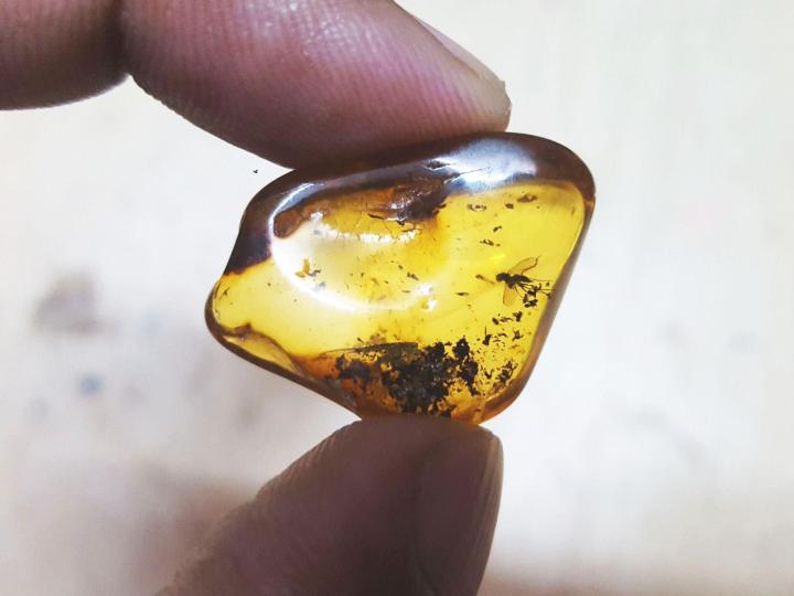 Amber Stone