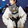 Pet Carrier Chest Backpack for Dog Cat Outdoor Travel. 