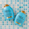 OGX (Organix): Moroccan Argan Oil Shampoo + Conditioner 13 oz Combo Pack. 