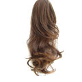 Golden Ponytail Hair Extension Brown With Golden Highlights Wig Donuts Bud Head Band Ball French Twist Magic DIY Tool. 
