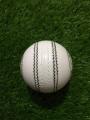 Crown Cricket Hard Ball. 