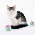 Bite Resistant Glowing Elastic Ball Durable Flashing Molar Interactive Ball Pet Rubber Chew Toy For Cats Dogs To Away From Bored. 
