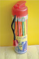 Shark Lead pencil FIN No.712  48 pencil. 