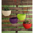 Hanging Basket for Plants and flowers. 