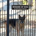 Beware of Dog Sign Dog Warning Sign Keep Gate Closed with Paw Print Design for Home Outdoor Safety. 