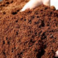 COCO Peat (1 KG Bag) - Seed Starter For Gardening & Plants. 