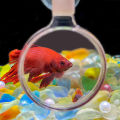 Aquarium Magnifier Acrylic Suction Cup Viewer Fish Tank Viewer Magnifying Glass Small Animal Plant Aquarium Equipment. 