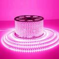 Purple Flexible Rope Led Strip light Water Proof and multiple sizes to choose for indoor and outdoor use long life bulbs rope lights. 