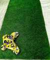 artificial Grass mat / Floor Mat / Bath Room Mat / Entrance Mat. 