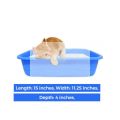 Cat Litter Tary Only for Kittens. 