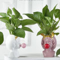 For Pen Plant Succulent Blowing Living Home Vase Bubbles Decoration Flower Girl Pot. 