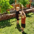 wooden axe JW Wooden Toy Axe for kids- Handmade Collection Toys for kids,Action Toys-Iported Wood Toy Hatchet Set for Outdoor Play Toy For Kids,Ertugrul Ertugrul Toys IYI Toy and Turgut Kulhara, Ertugrul Ghazi Toy,Collection Toys,Action Toys-Ertugrul. 