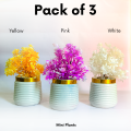 Pack of 3 Artificial Mini Plant Decoration Set – Elegant Home & Office Décor. 
