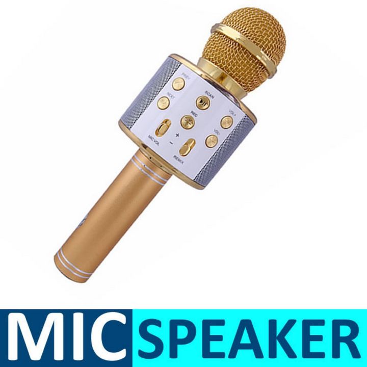 Mike with Speaker Microphone Loud Speaker for Kids - Speech with Echo Effect - Good Mic for Kids & Students