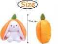 Cute Home Decoration Soft Hugging Pillow Mini Plush Bunny Children Easter Toy Plush Animal Easter Bunny Stuffed Toys Hideaway Rabbit Plush Doll Carrot Rabbit Plush Toy Hide And Seek Bunny Buy And Buy. 