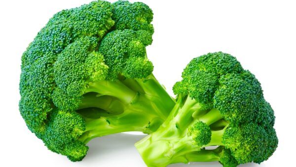 F-1 Hybrid Broccoli Seed for kitchen gardening