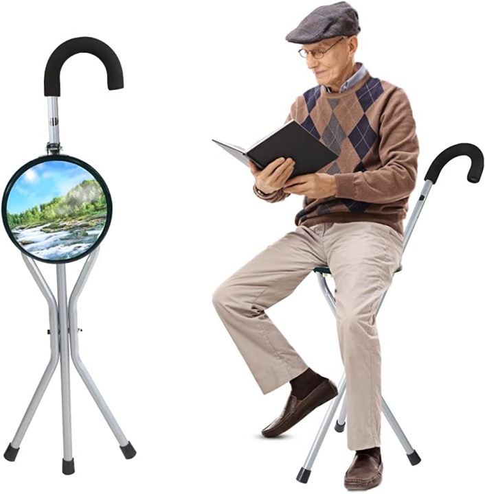 Walking Stick Portable Seat for Old People for Traveling