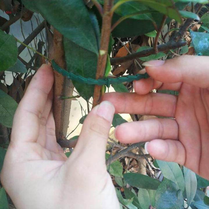 2X%20Garden%20Plant%20Tie%20Plastic%20Reusable%20Ties%20Tree%20Climbing%20Support%20Garden%20Tie%2023CM%20-%20Image%203