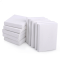 10 Pack Mini Canvas Panels - 5pcs (6 x 6 ), 5pcs ( 8 x 8 )100% Small Cotton Stretched Canvas Boards for Painting.. 