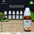 Sandalwood (صندل) Aromatherapy Essential Oil (10 ml) – Pakistan Pansar sandalwood Oil 100% Pure & Natural – Undiluted. 