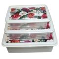 Fancy Design Premium Quality Food Container Box Set of 3pcs. 