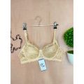 Lace Padded Wired Full Coverage Net Bra Brazzer Blouse (01). 