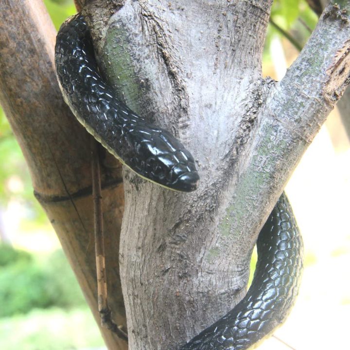 30cm/9%20inch%20Realistic%20Artificial%20Rubber%20Snake%20Toy,%20For%20kids%20Prank,%20Fun%20And%20Gift%20-%20Image%203