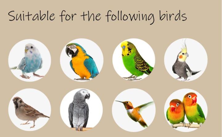 Bird%20Wood%20Chew%20Toy%EF%BC%8C2-Pcs%20Parrot%20Hanging%20Wooden%20Blocks%20Cage%20Grinding%20Bead%20Toy%20for%20Budgies%20Parakeet%20Cockatiel%20Conure%20Lovebirds.%20-%20Image%209