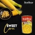 DewDrop Canned Golden Whole Kernel Sweet Corn 380 g Tin. 
