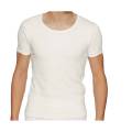 Hinz Men's Premium Thermal Top (Short Sleeves) Cotton, Polyester & Viscose Made. 
