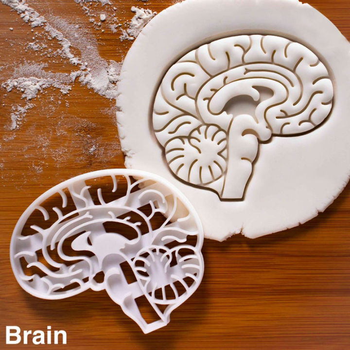 New Amazon Plastic Brain Heart Seal Grinding Tool White Embossing Tool Human Organ Seal Mold