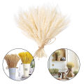 100 Stems Dried Wheat Stalks, Natural Dried Wheat Sheaves Fall Flower Arrangement Wheat Bouquet Bundle for DIY Home Table Wedding Xmas Decor. 