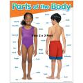 Body Parts Learning Poster 2x3 Feet – Educational Chart for Kids Home & School. 